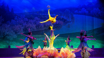 雜技魔術(shù)齊獻技   惠民演出受歡迎