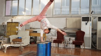 甘肅省雜技團(tuán)召開強(qiáng)化訓(xùn)練準(zhǔn)備演出暨鞏固“兩學(xué)一做”學(xué)習(xí)教育活動大會