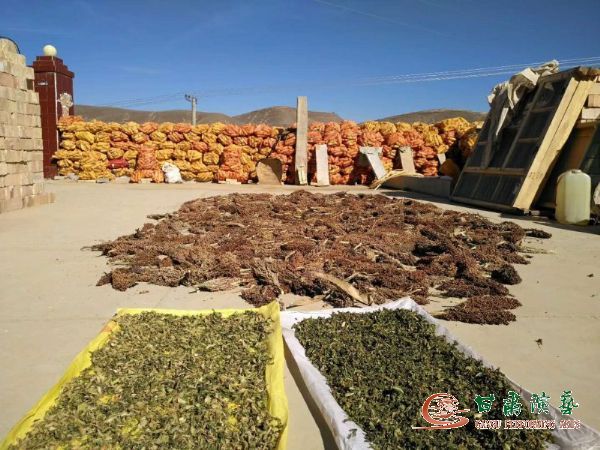 甘肅省京劇團赴環(huán)縣車道鄉(xiāng)三角城村開展脫貧攻堅幫扶工作