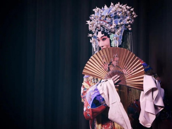 乾坤一臺戲，請君更看戲中戲